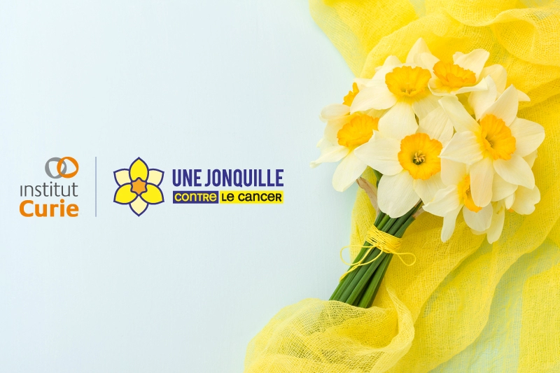 Mars 2026 Une Jonquille Contre le Cancer : la mobilisation solidaire de la CFDT HMV