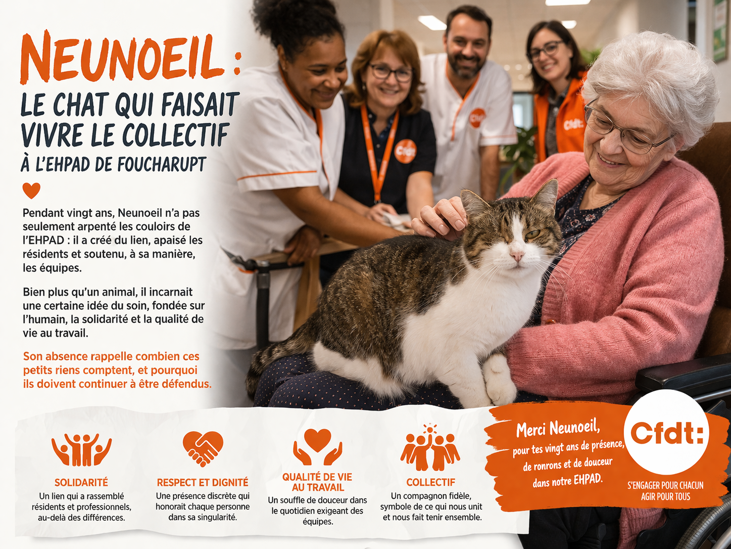 Un chat pour la vie : hommage à Neunoeil, compagnon de solidarité à l’EHPAD de Foucharupt